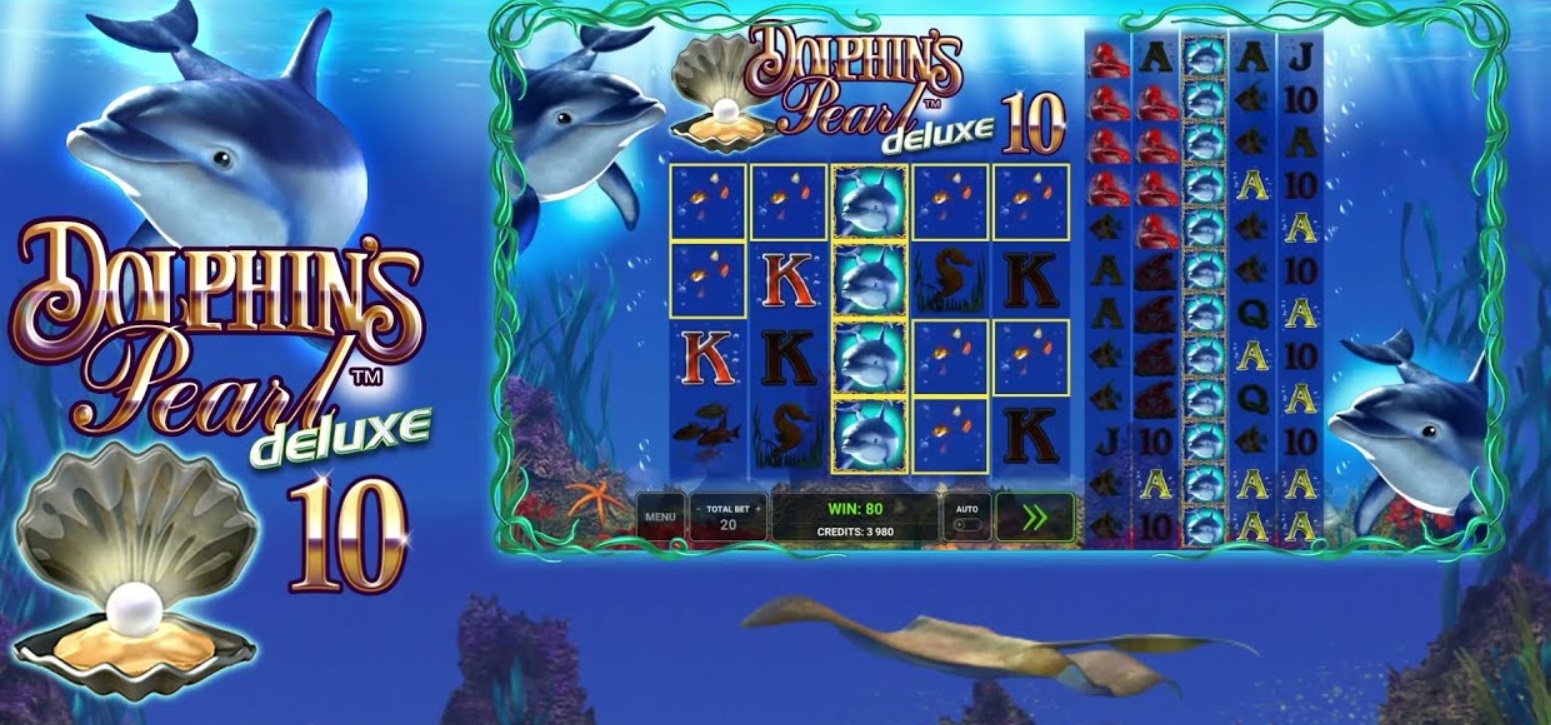 Dolphin